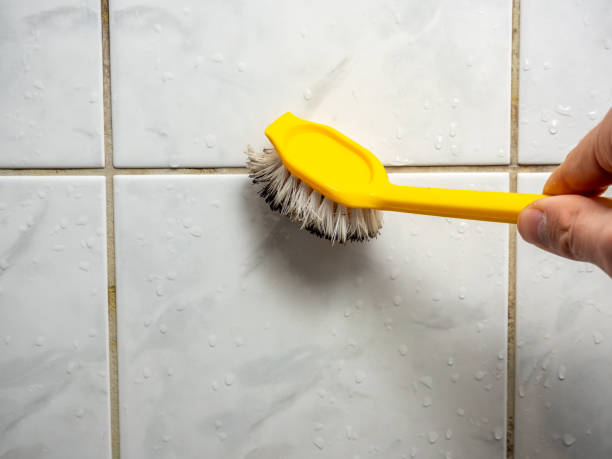 Best Local Mold Removal Service  in Walnutport, PA